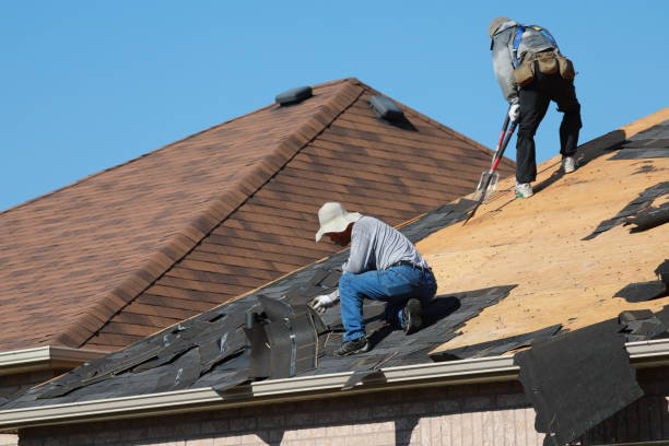 Best Roof Installation  in Van Horn, TX