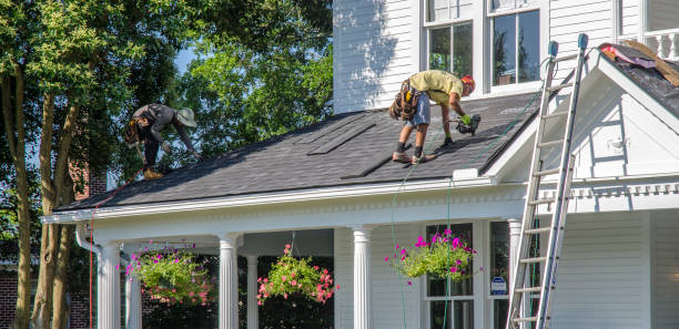 Best Roof Insulation Installation  in Van Horn, TX